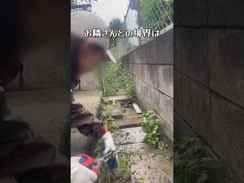 庭の装飾のアイデアの境界線を区切る方法 庭の境界線のパス