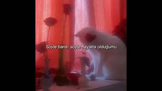 Sextiles - Visions Of You Türkçe Çeviri