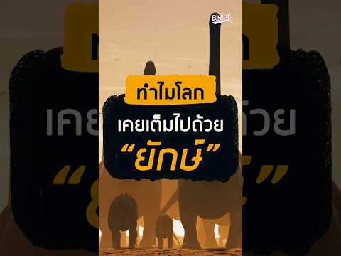 ทำไมโลกเคยเต็มไปด้วยยักษ์ #ไดโนเสาร์ #dinosaur #วิทยาศาสตร์ #สารคดีสั้น