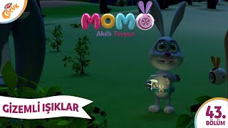 5.Bölüm - GİZEMLİ IŞIKLAR