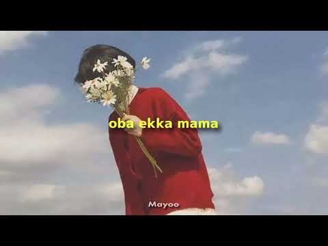 Oba ekka mama ( Slowed + Reverb )