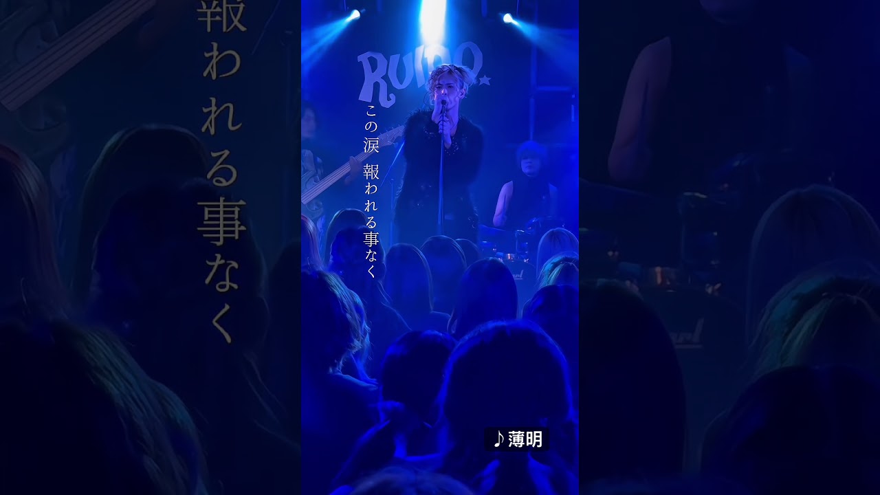 Nicori Light Tours / 薄明 #ライブ映像 #バラード