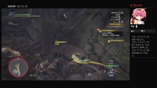 のんびりとアクティブするMHW
