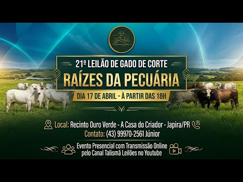 21° Leilão de Gado de Corte - 2026 | Talismã Leilões |Sexta-Feira - 17/04 - 18h | Japira - PR