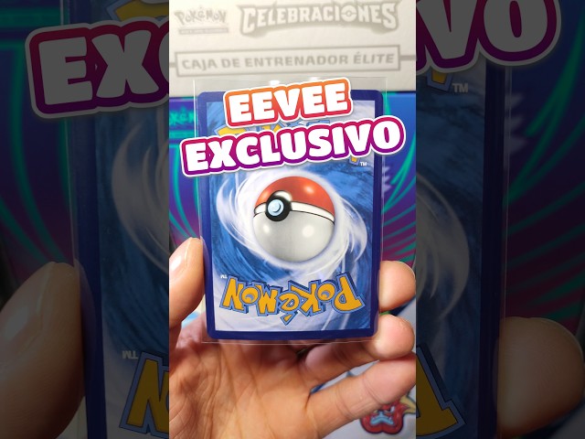 Vídeo relacionado con Pokémon Eevee Face Camiseta, Negro y Gris, L para Hombre