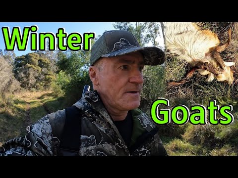 Winter time goat hunting up in the hills