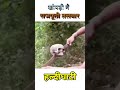 हल्दीघाटी History Rajasthan Reels Maharanapratap Shorts Rajput Shortvideo Chittorg