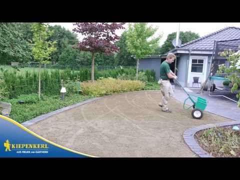 Kiepenkerl Rasen - Die Ansaat