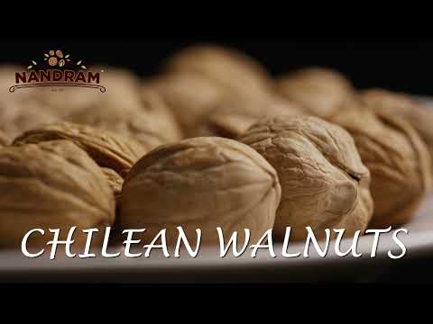 Chilean Walnut inshell