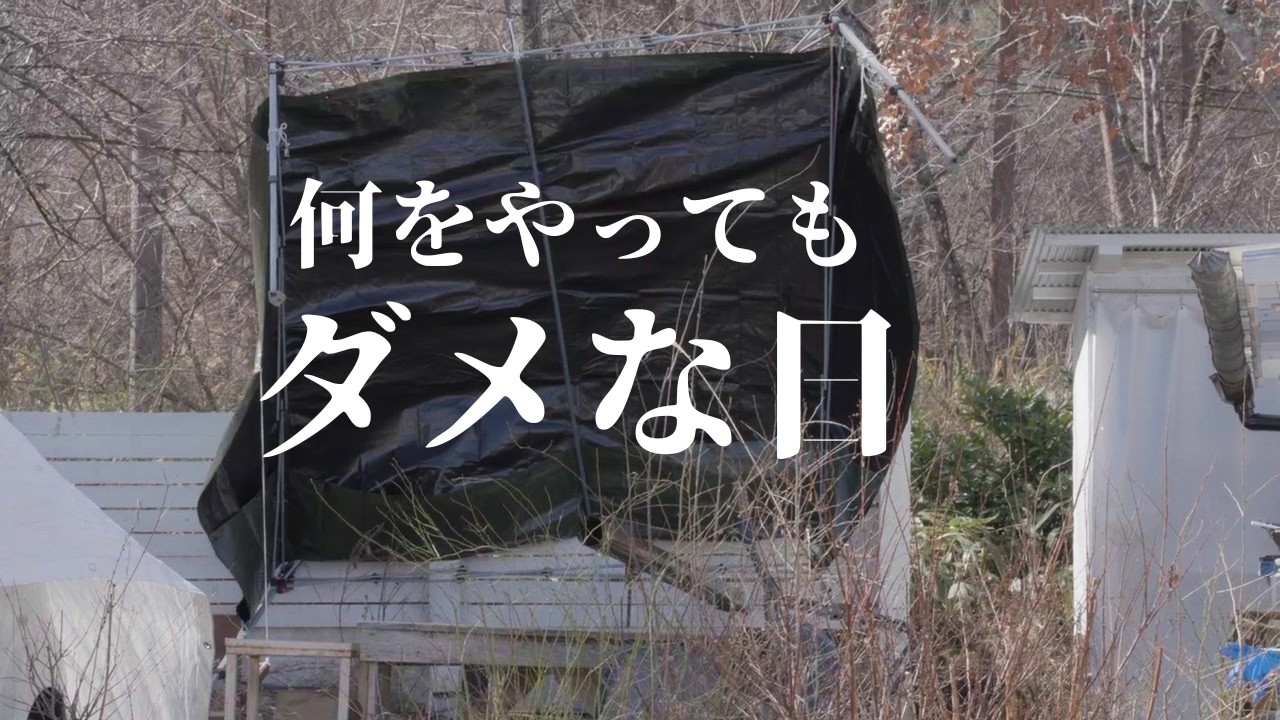 【散々な日常】強風で吹き飛ばされたタープ、古物破損から味噌作りの失敗、人生最後の熱帯魚、、［vol.287］