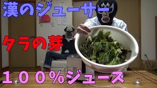 漢のジューサーシリーズ　タラの芽