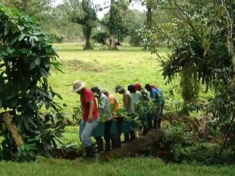 Rio Sol Bio Corridor, Maleku Reserve, Costa Rica