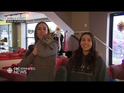 Daily Lift: The purrrfect combination for yogis and feline friends