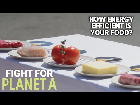 How Energy Efficient Is Your Food? | Fight For Planet A
