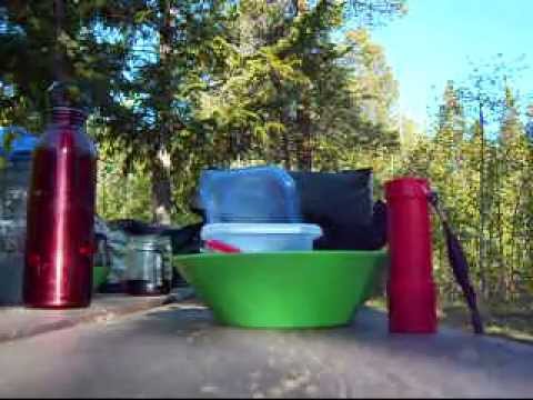 Hummingbird in flight - Broad-tailed (not Ruby-throated).wmv