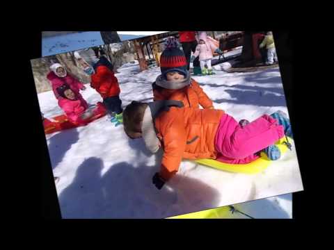 Actividades experienciales: nuestro patio en invierno | Escuela