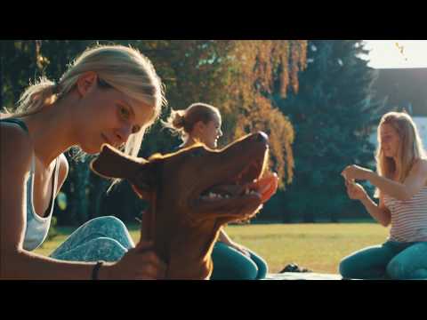 download lagu mp3 mp4 Landschaftsarchitektur Und Umweltplanung Studium, download lagu Landschaftsarchitektur Und Umweltplanung Studium gratis, unduh video klip Landschaftsarchitektur Und Umweltplanung Studium