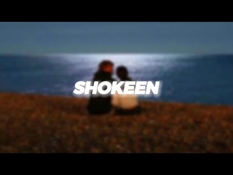 Shokeen - (Slowed + Reverb) | Tarsem Jassar |