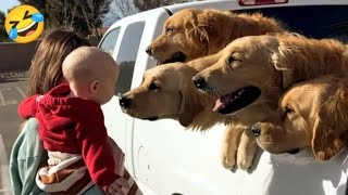 Funny Animals 2025 😂 Cute Dogs, Cats & Pet Fails Compilation