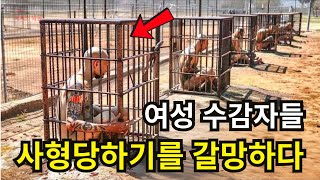 Download lagu Prisons Worse Than Death: 9 of the World's Cruelest Prisons - Travel Documentary mp3