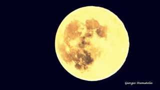 Charlie Haden & Pat Metheny __ The Moon Song