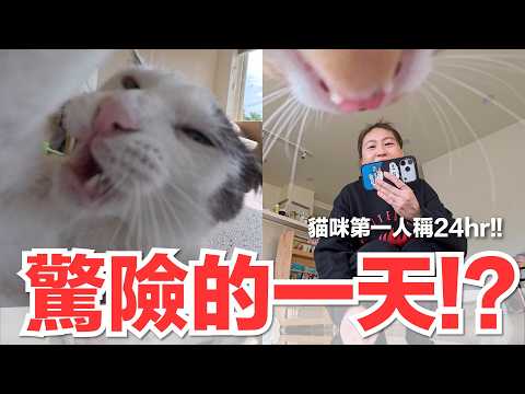 【好味小姐】 驚險的一天！？貓咪第一人稱24hr！｜好味貓日常265