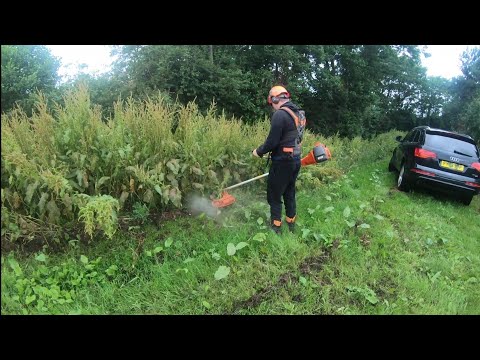 Husqvarna 555 rxt brushcutter with 4mm line. Bull horn handles.X torq 2 stroke.Review 2020 4K video.