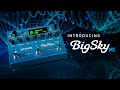 Strymon BigSky MX