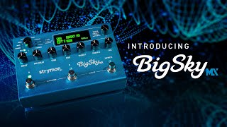 Strymon BigSky MX Multi Reverb Video