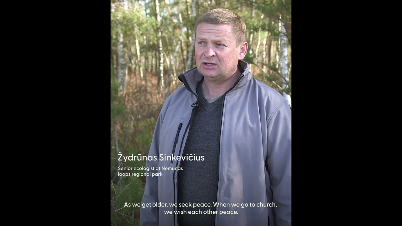 Benefits of spending time in forests