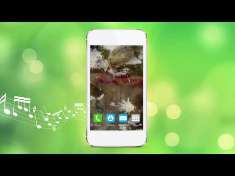 Nature Wallpaper with Sound Video