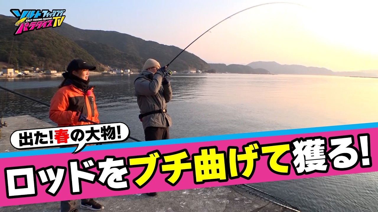 沖堤防で衝撃的釣果！巨大オオモンハタとキロ超えアオリイカをキャッチ！春にオススメしたい二刀流極意！（ソルパラTV・2026年3月27日公開）