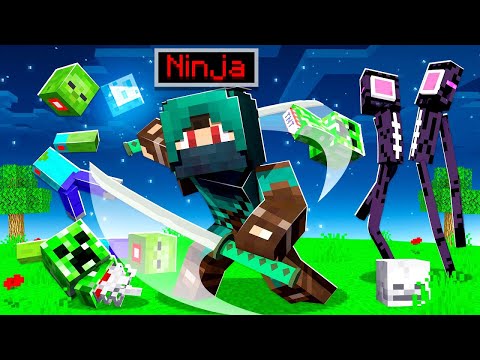 SONO DIVENTATO UN NINJA SU MINECRAFT ITA!
