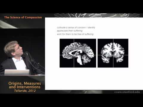 The Science of Compassion: Origins, Measures, and Interventions - Brian Knutson, Ph.D.