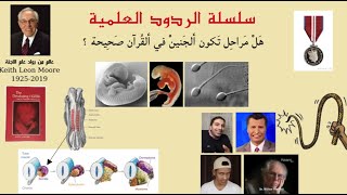 4 هل مراحل تكون الجنين في القرآن صحيحة