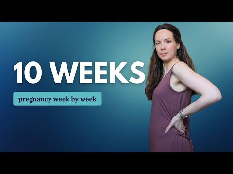 10 Weeks Pregnant 🤰 What to Expect: Changes for You & Baby Development