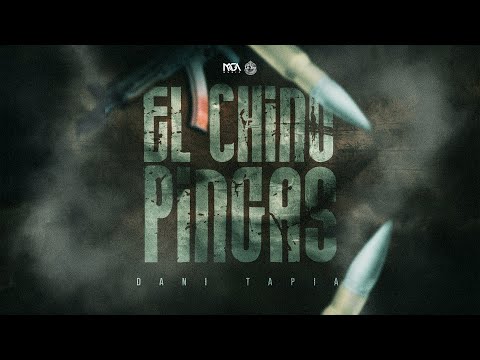 El Chino Pingas - Dani Tapia (AUDIO) 2025
