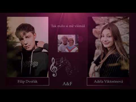 Iveta Bartošová a Petr Sepéši - Tak málo si mě všímáš