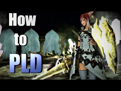 Gladiator/Paladin - True Beginners/Returners Guide...