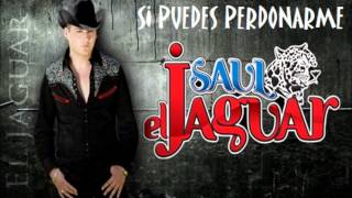 Si Puedes Perdonarme Music Video