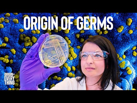 How We Discovered Germs