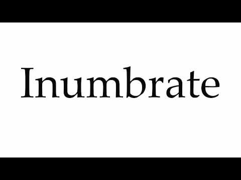 How to Pronounce Inumbrate Video