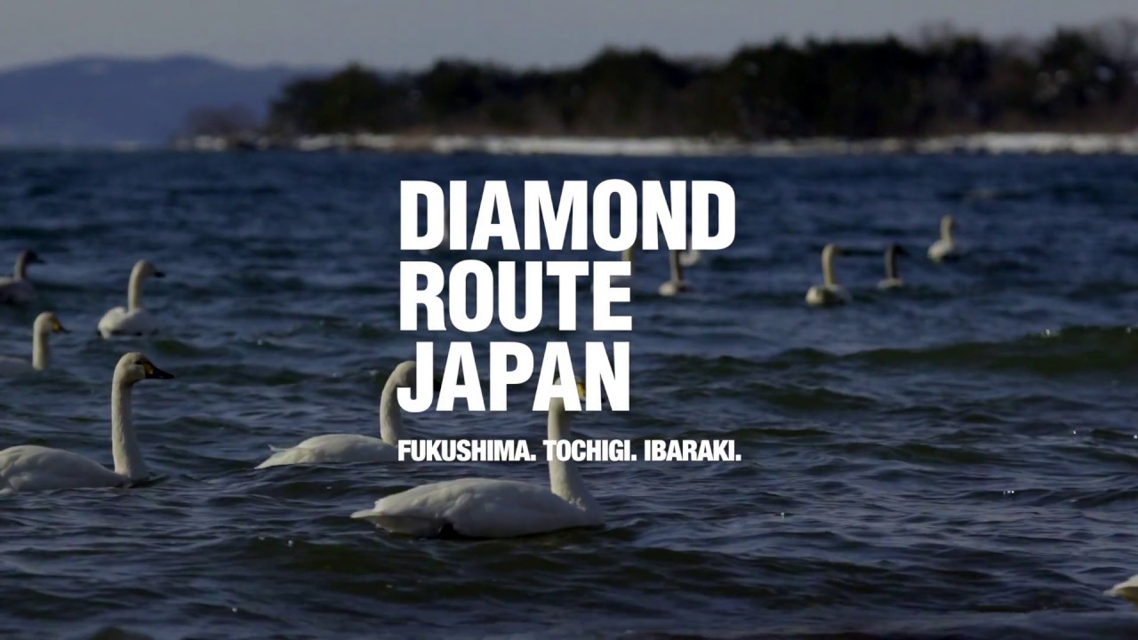 Birdwatching : Diamond Route Japan - Fukushima, Tochigi, Ibaraki |