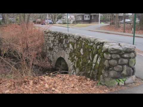 A complete tour of Fuller Brook Park in Wellesley