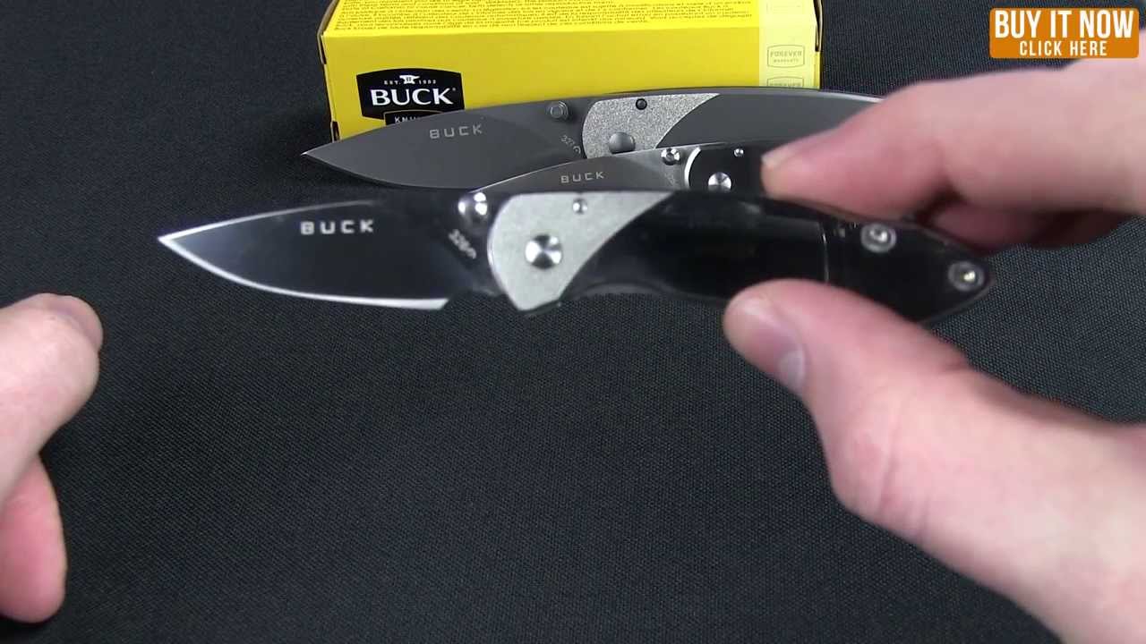 Buck Nobleman Frame Lock Knife Stainless Steel (2.625