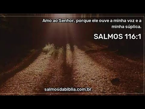 download lagu mp3 mp4 Cordeis Da Morte Me Cercaram, download lagu Cordeis Da Morte Me Cercaram gratis, unduh video klip Cordeis Da Morte Me Cercaram