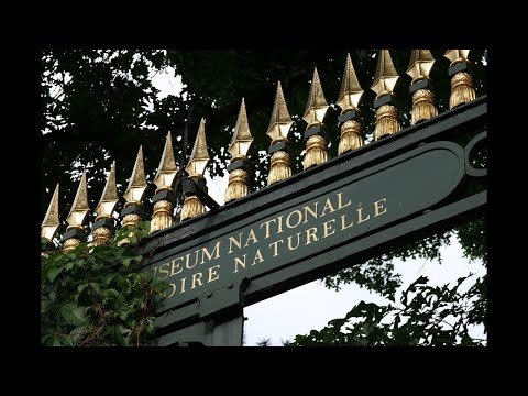 Le Muséum national d'Histoire naturelle