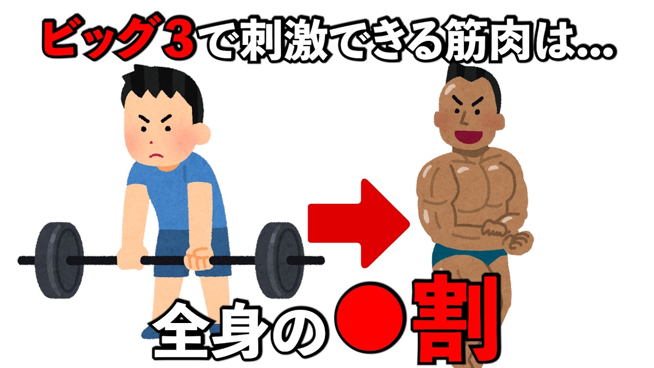 【総集編】筋トレ初心者におすすめなビッグ３の雑学　#トリビア#豆知識#筋トレ