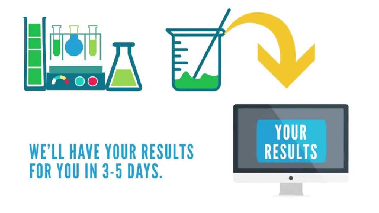 Maatskappy video EASYDNA