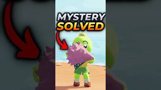 This MYSTERY was Finally ANSWERED in PEAK!!